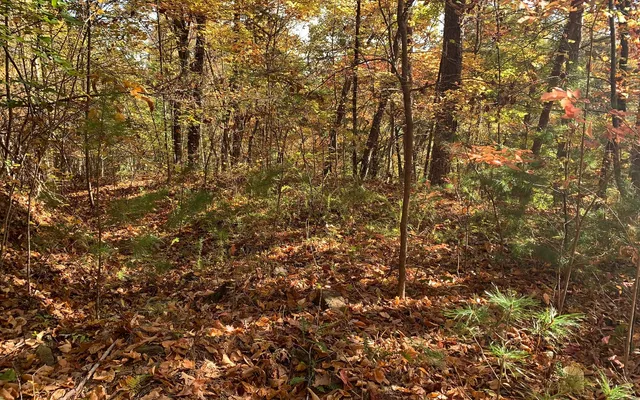 $85,000 | 29 Lake Point Drive, Murphy, NC 28906