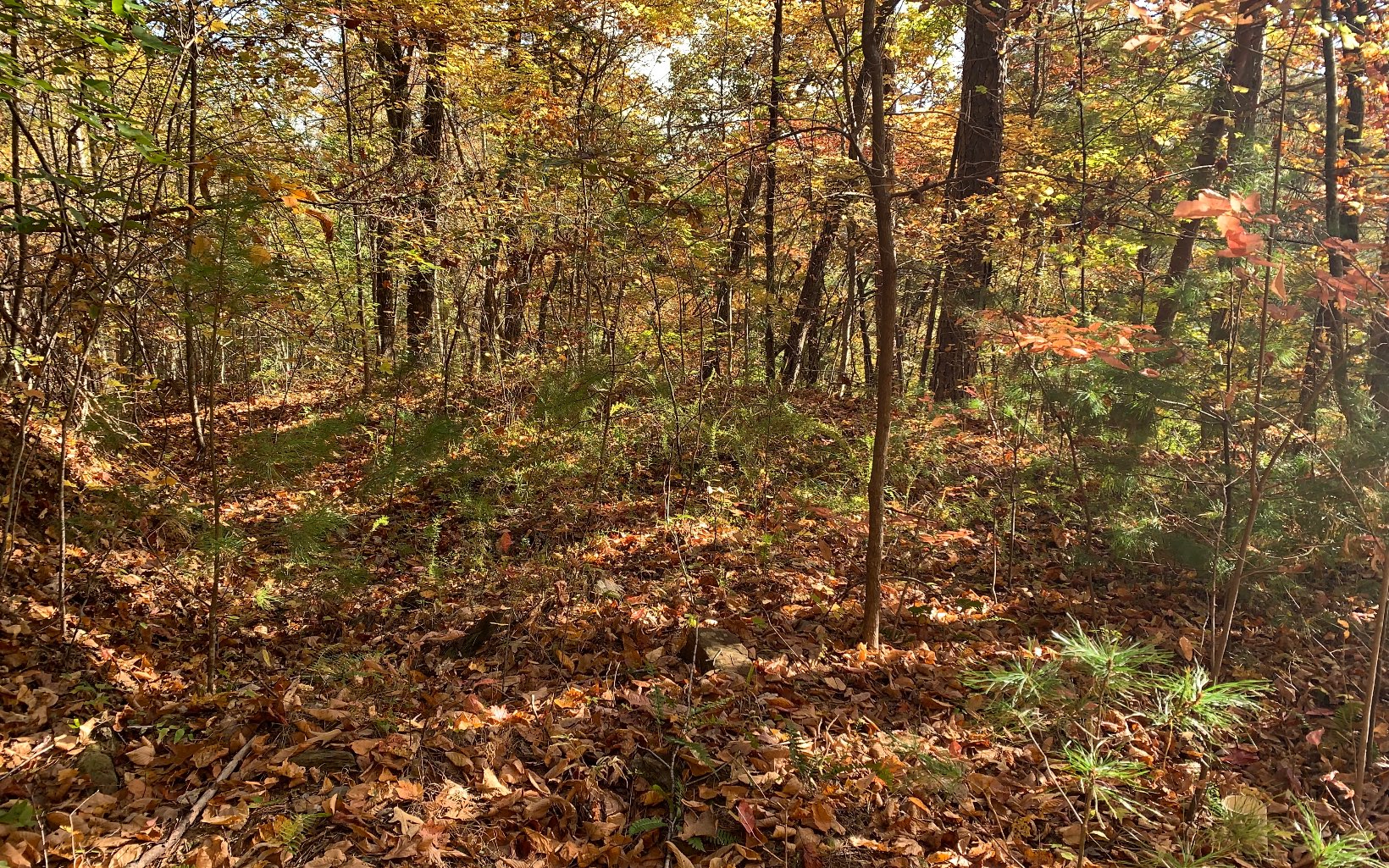 29 Lake Point Drive Murphy, NC 28906 - Photo 14 of 28 Additional View