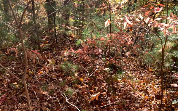 $85,000 | 29 Lake Point Drive, Murphy, NC 28906