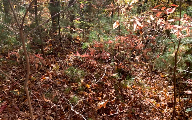 $85,000 | 29 Lake Point Drive, Murphy, NC 28906