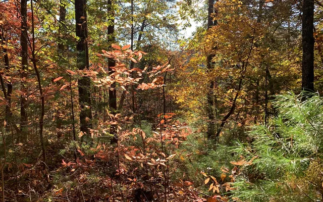 $85,000 | 29 Lake Point Drive, Murphy, NC 28906