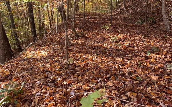 $85,000 | 29 Lake Point Drive, Murphy, NC 28906