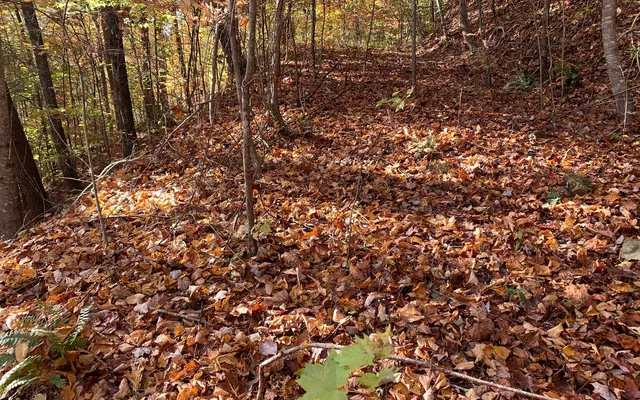 $85,000 | 29 Lake Point Drive, Murphy, NC 28906