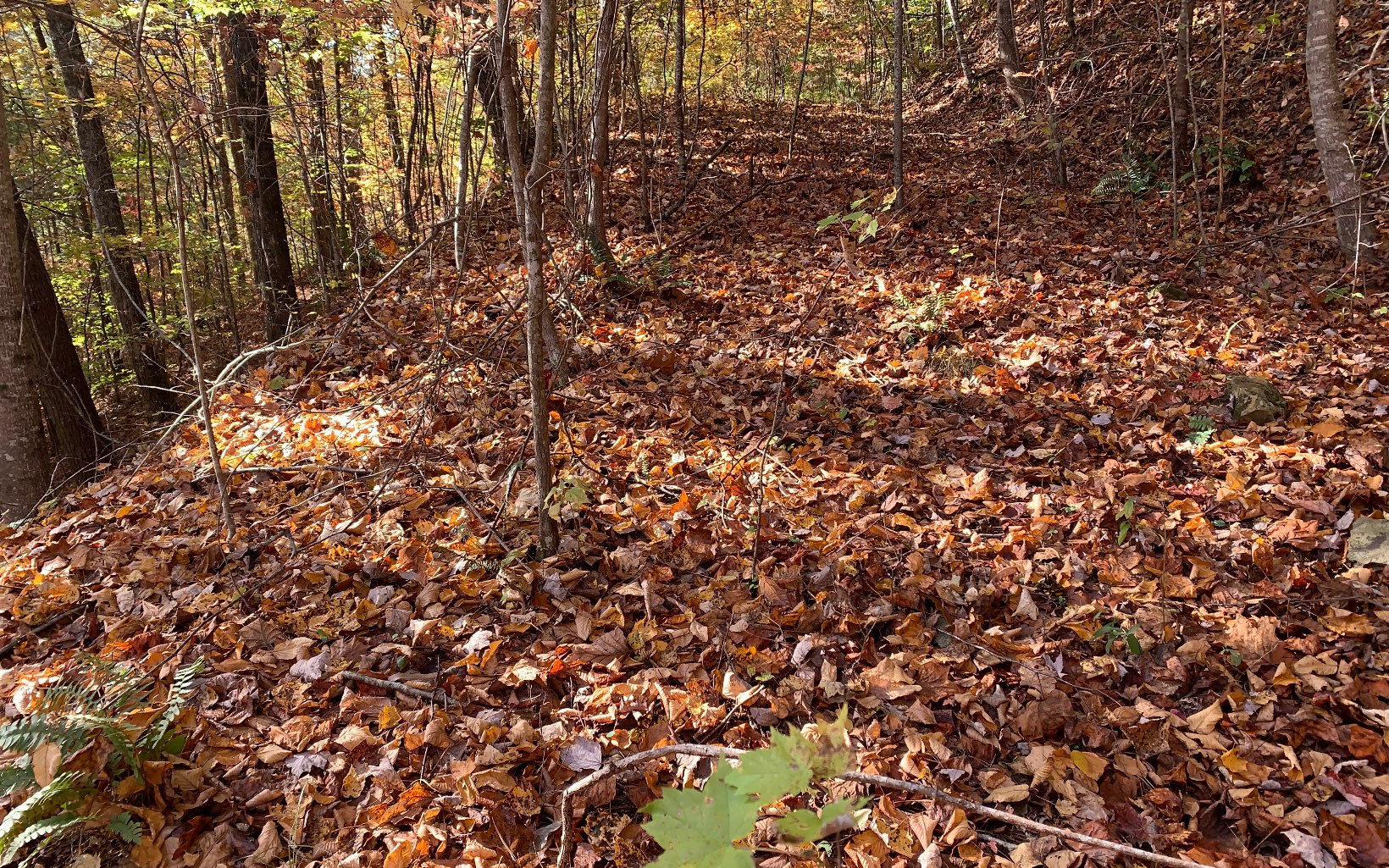 29 Lake Point Drive Murphy, NC 28906 - Photo 17 of 28 Additional View