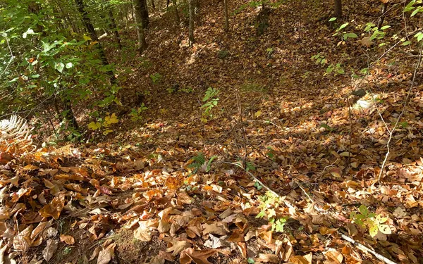 $85,000 | 29 Lake Point Drive, Murphy, NC 28906