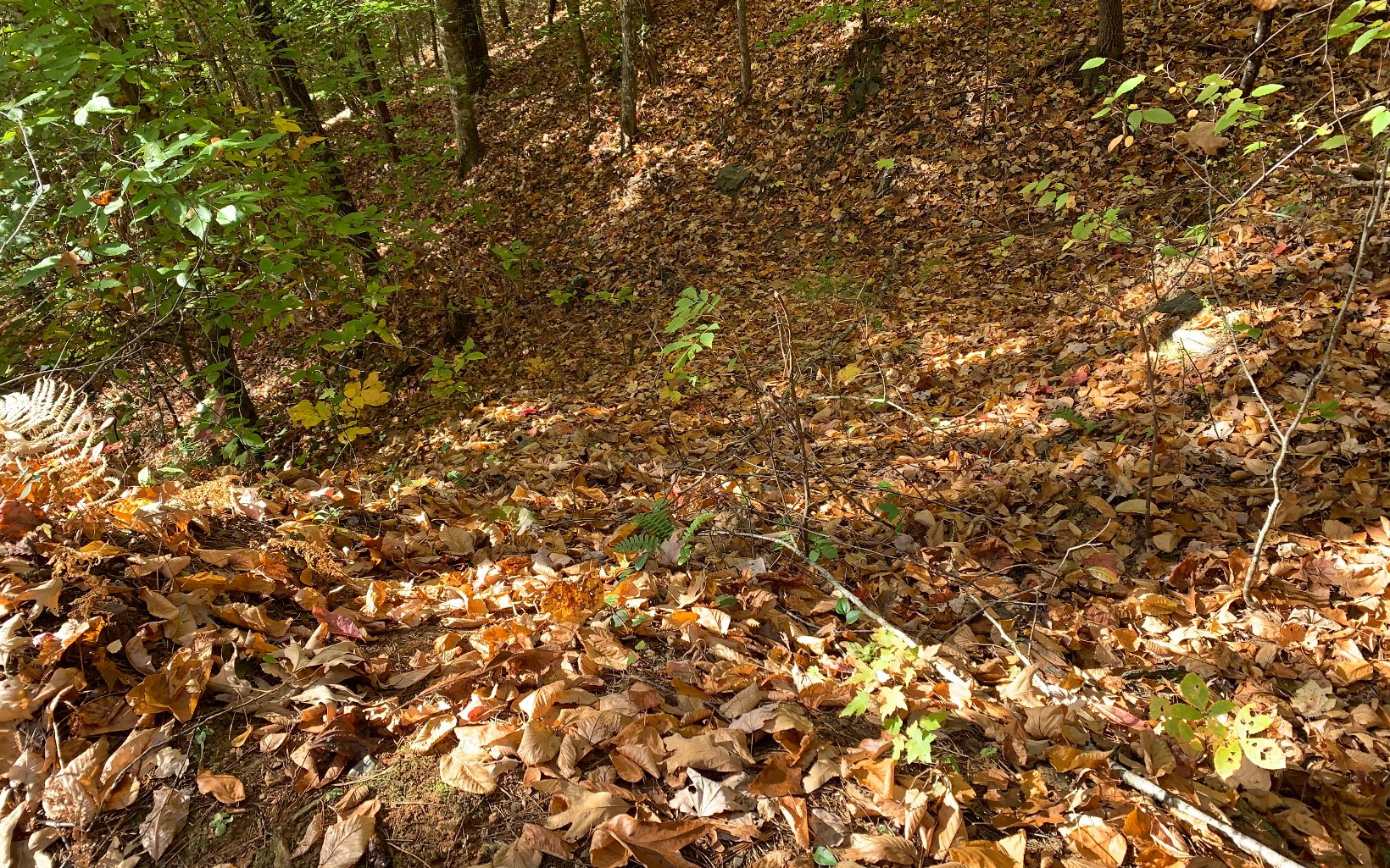 29 Lake Point Drive Murphy, NC 28906 - Photo 18 of 28 Additional View