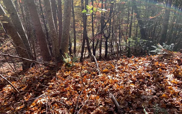 $85,000 | 29 Lake Point Drive, Murphy, NC 28906