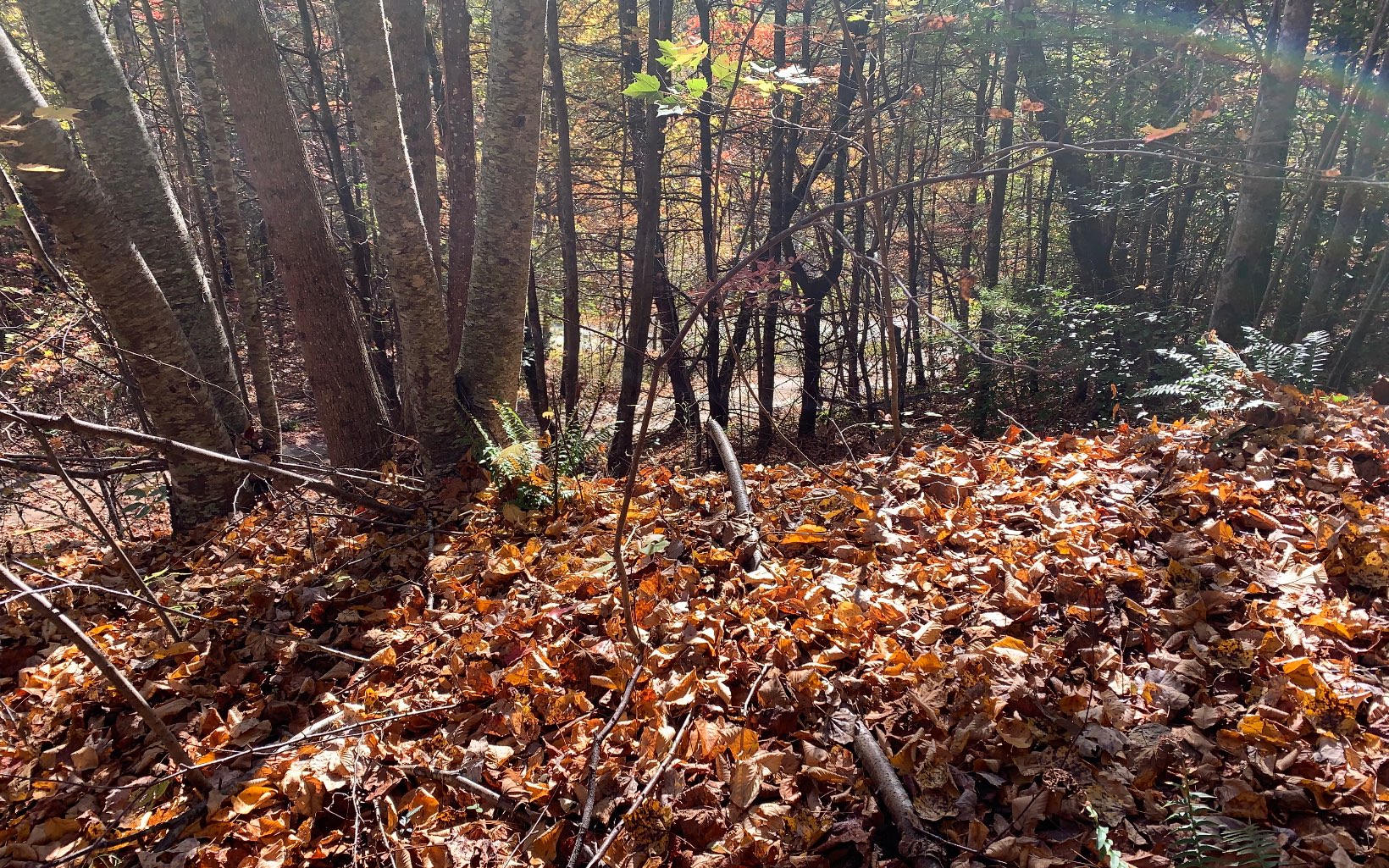 29 Lake Point Drive Murphy, NC 28906 - Photo 19 of 28 Additional View