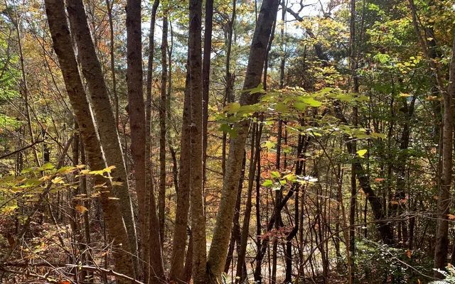 $85,000 | 29 Lake Point Drive, Murphy, NC 28906