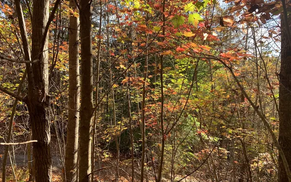 $85,000 | 29 Lake Point Drive, Murphy, NC 28906