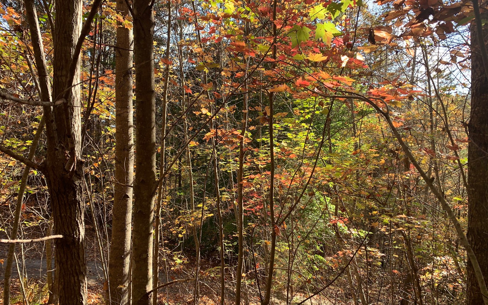29 Lake Point Drive Murphy, NC 28906 - Photo 22 of 28 Additional View