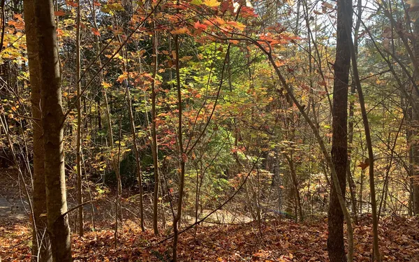 $85,000 | 29 Lake Point Drive, Murphy, NC 28906