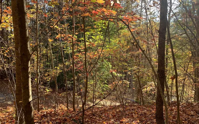 $85,000 | 29 Lake Point Drive, Murphy, NC 28906