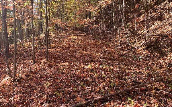 $85,000 | 29 Lake Point Drive, Murphy, NC 28906