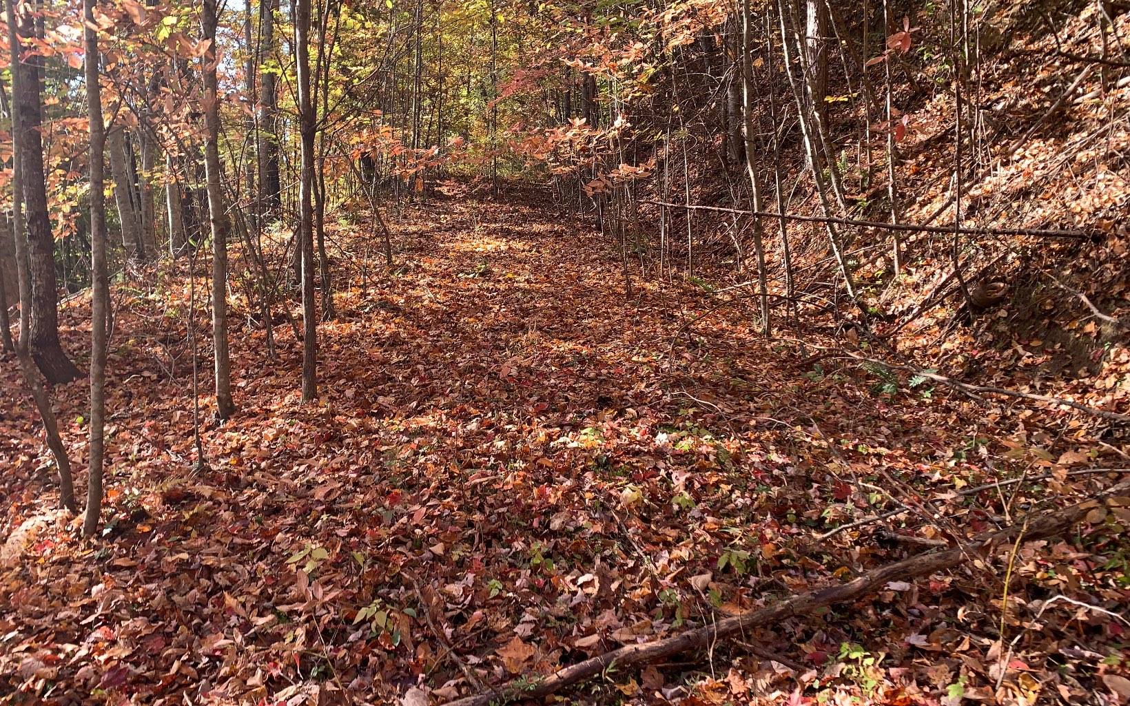 29 Lake Point Drive Murphy, NC 28906 - Photo 24 of 28 Additional View