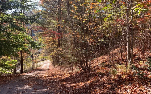 $85,000 | 29 Lake Point Drive, Murphy, NC 28906