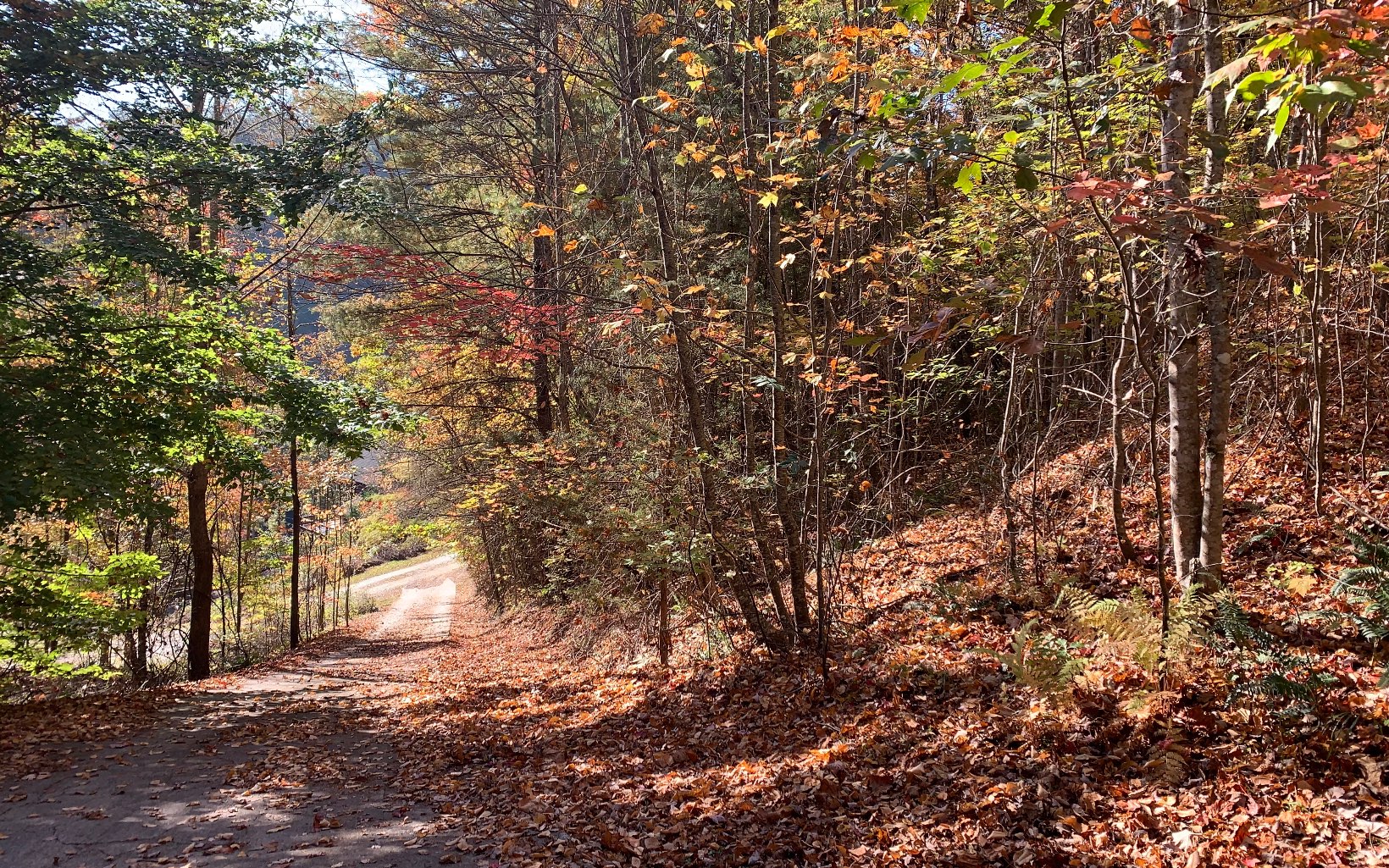 29 Lake Point Drive Murphy, NC 28906 - Photo 25 of 28 Additional View