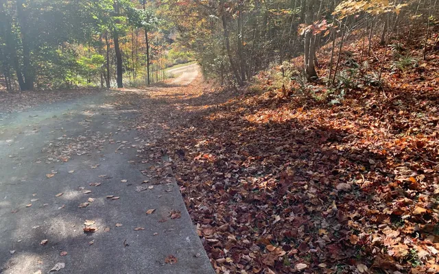 $85,000 | 29 Lake Point Drive, Murphy, NC 28906