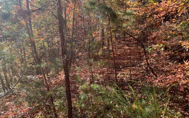 $85,000 | 29 Lake Point Drive, Murphy, NC 28906