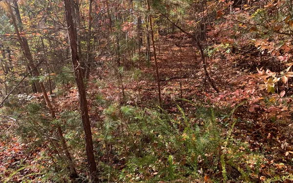 $85,000 | 29 Lake Point Drive, Murphy, NC 28906