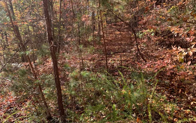 $85,000 | 29 Lake Point Drive, Murphy, NC 28906