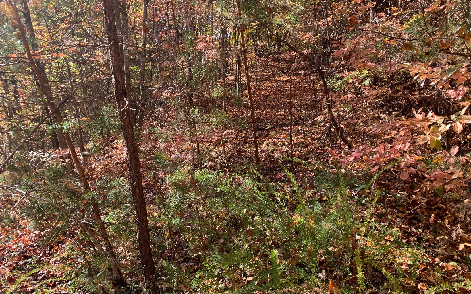 29 Lake Point Drive Murphy, NC 28906 - Photo 28 of 28 Additional View