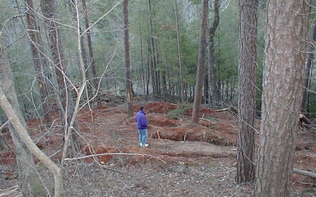 29 Lake Point Drive Murphy, NC 28906 - Photo 3 of 28 Additional View