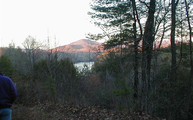 29 Lake Point Drive Murphy, NC 28906 - Photo 4 of 28 Additional View