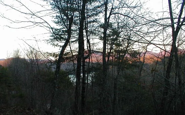 $85,000 | 29 Lake Point Drive, Murphy, NC 28906