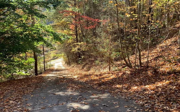 $85,000 | 29 Lake Point Drive, Murphy, NC 28906