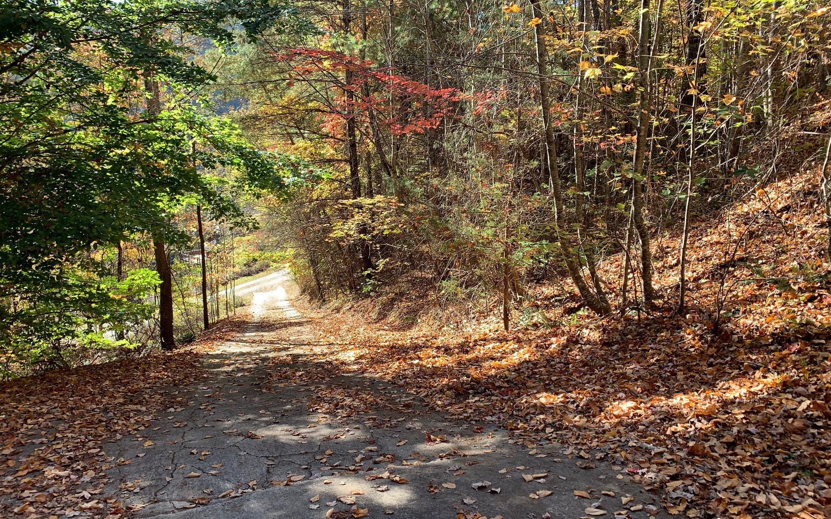 29 Lake Point Drive Murphy, NC 28906 - Photo 9 of 28 Additional View