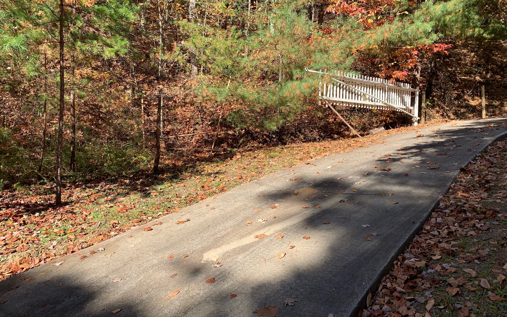 29 Lake Point Drive Murphy, NC 28906 - Photo 10 of 28 Additional View