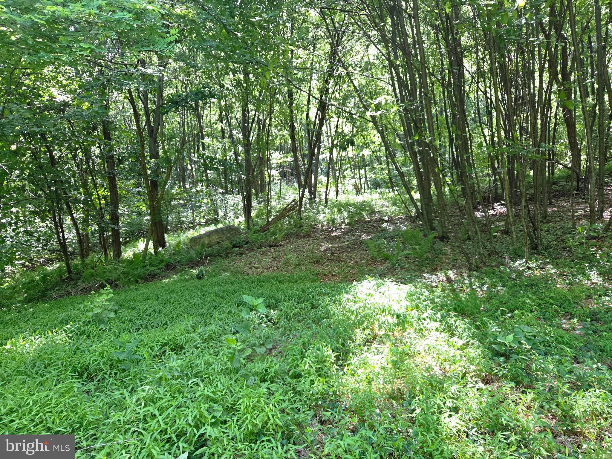 0 Carlisle Gap Road Lewistown, PA 17044 - Photo 32 of 53
