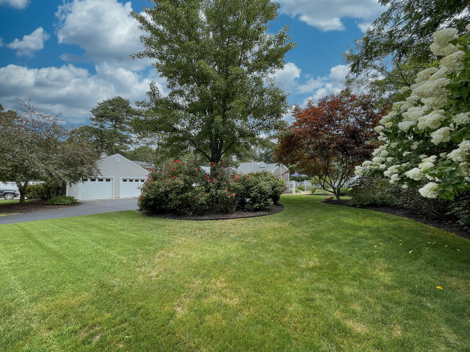 680 Old Orchard Road Eastham, MA 02642 - Photo 32 of 41 680 Orchard-2731