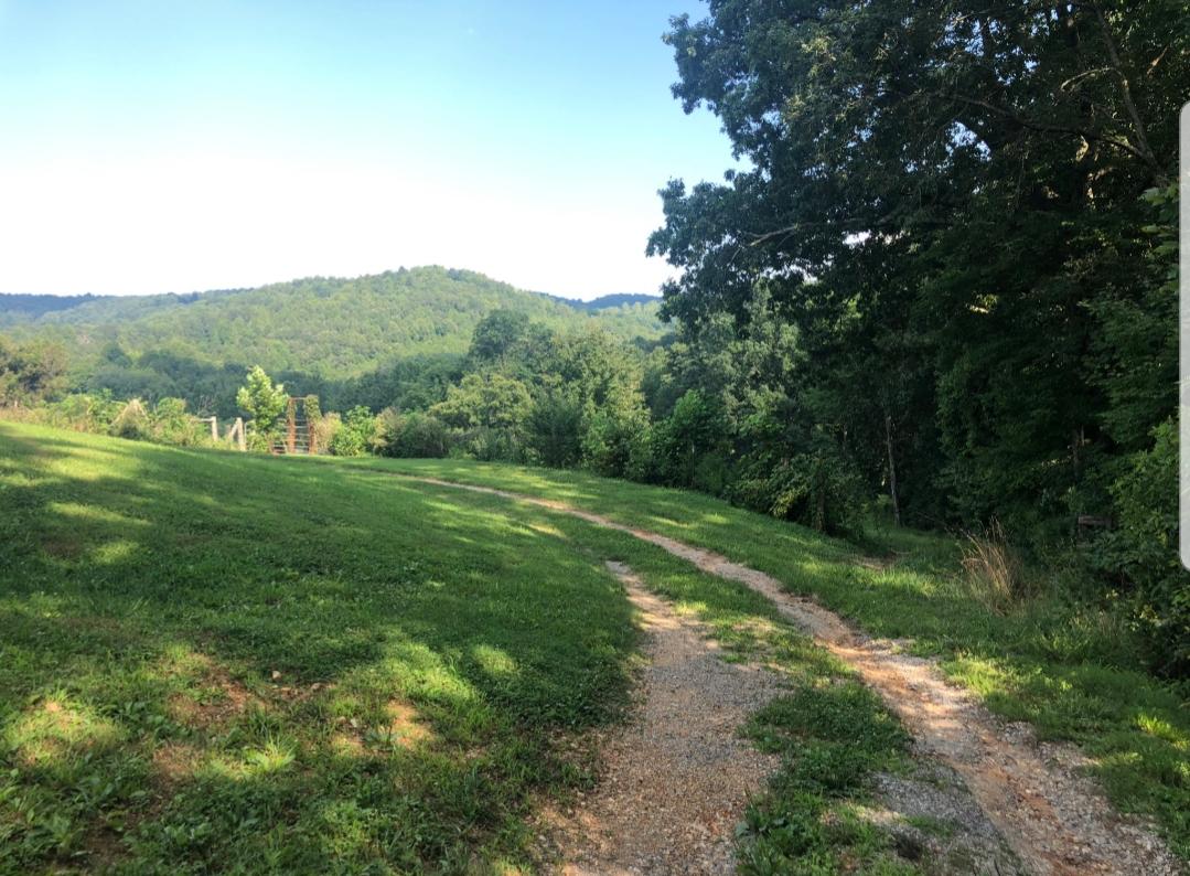 345 Wilson Road Speedwell, TN 37870 - Photo 9 of 11 20190813_094856