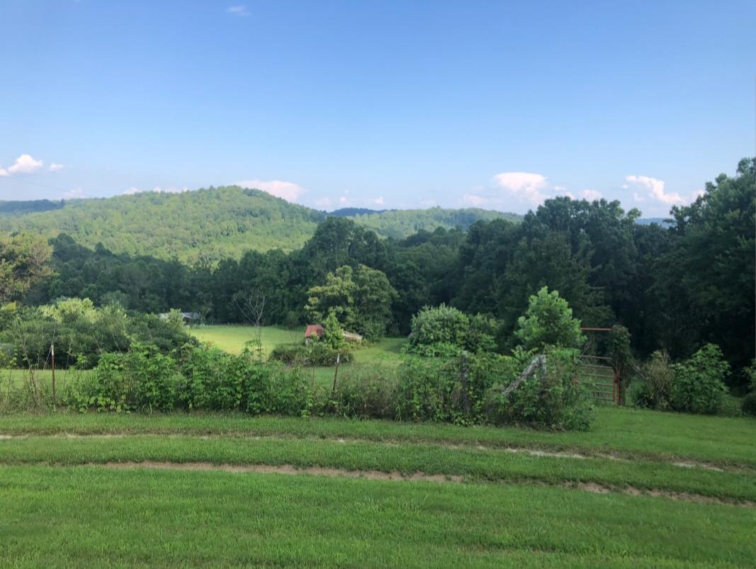 345 Wilson Road Speedwell, TN 37870 - Photo 10 of 11 20190813_095016