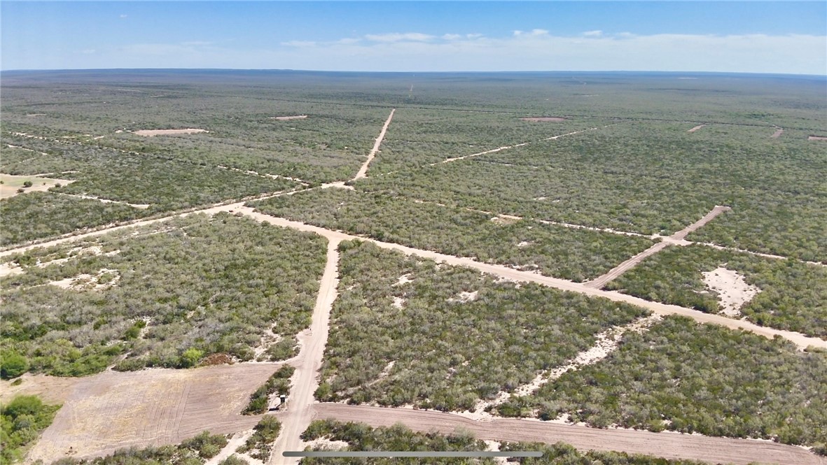 16179 East 44th Encinal, TX 78019 - Photo 2 of 20