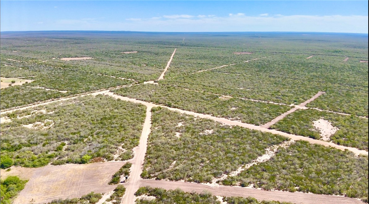 16179 East 44th Encinal, TX 78019 - Photo 3 of 20