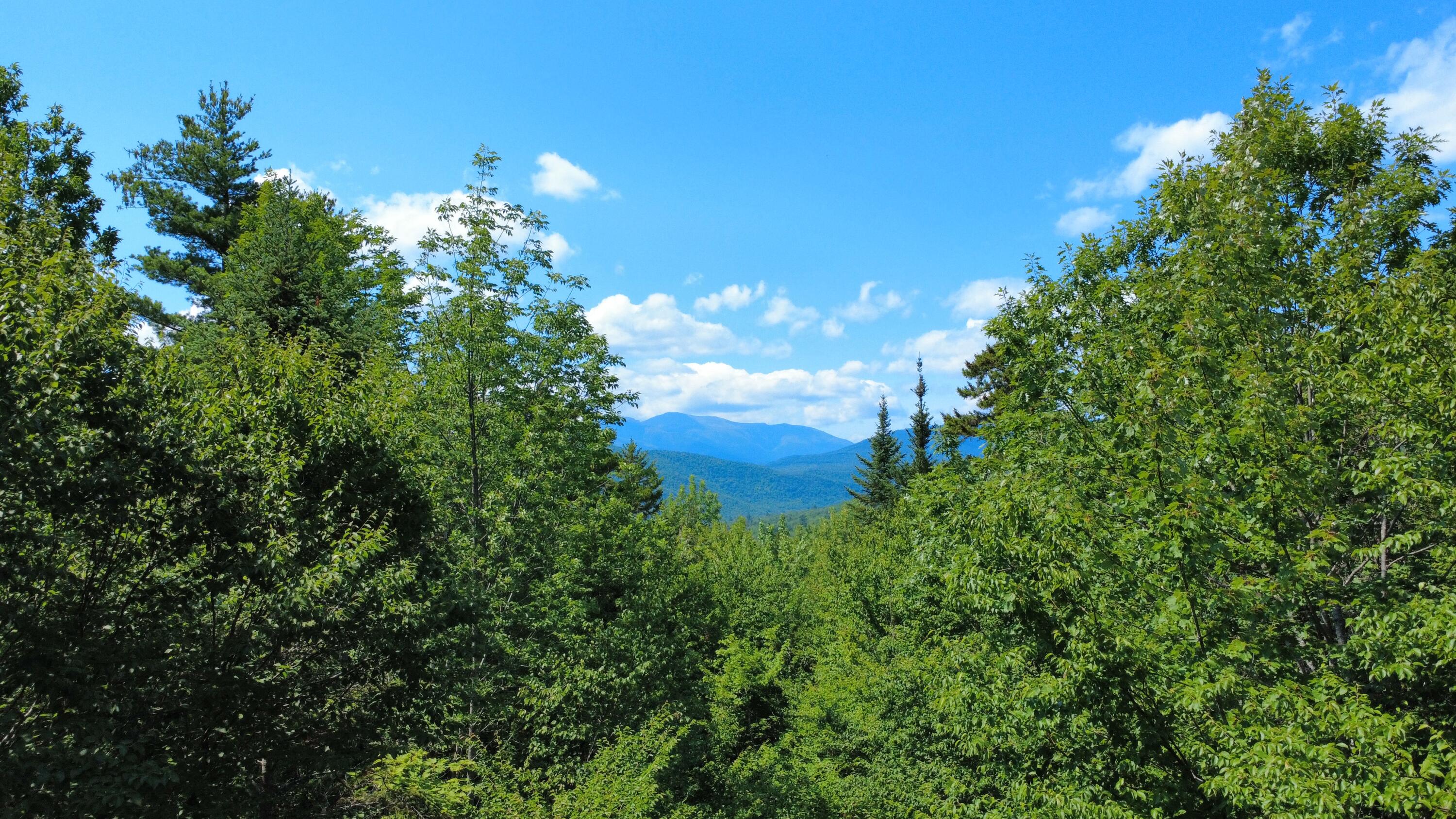 43 Jackson Highland Road Jackson, NH 03846 - Photo 12 of 46 08 View