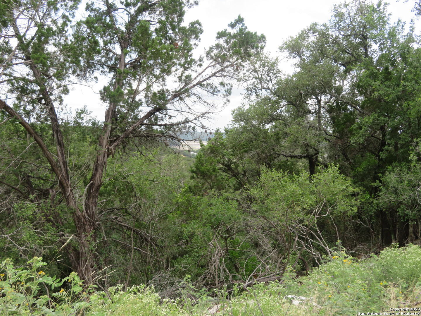 0 Hilltop Loop Lakehills, TX 78063 - Photo 12 of 32 a view of a forest with a tree