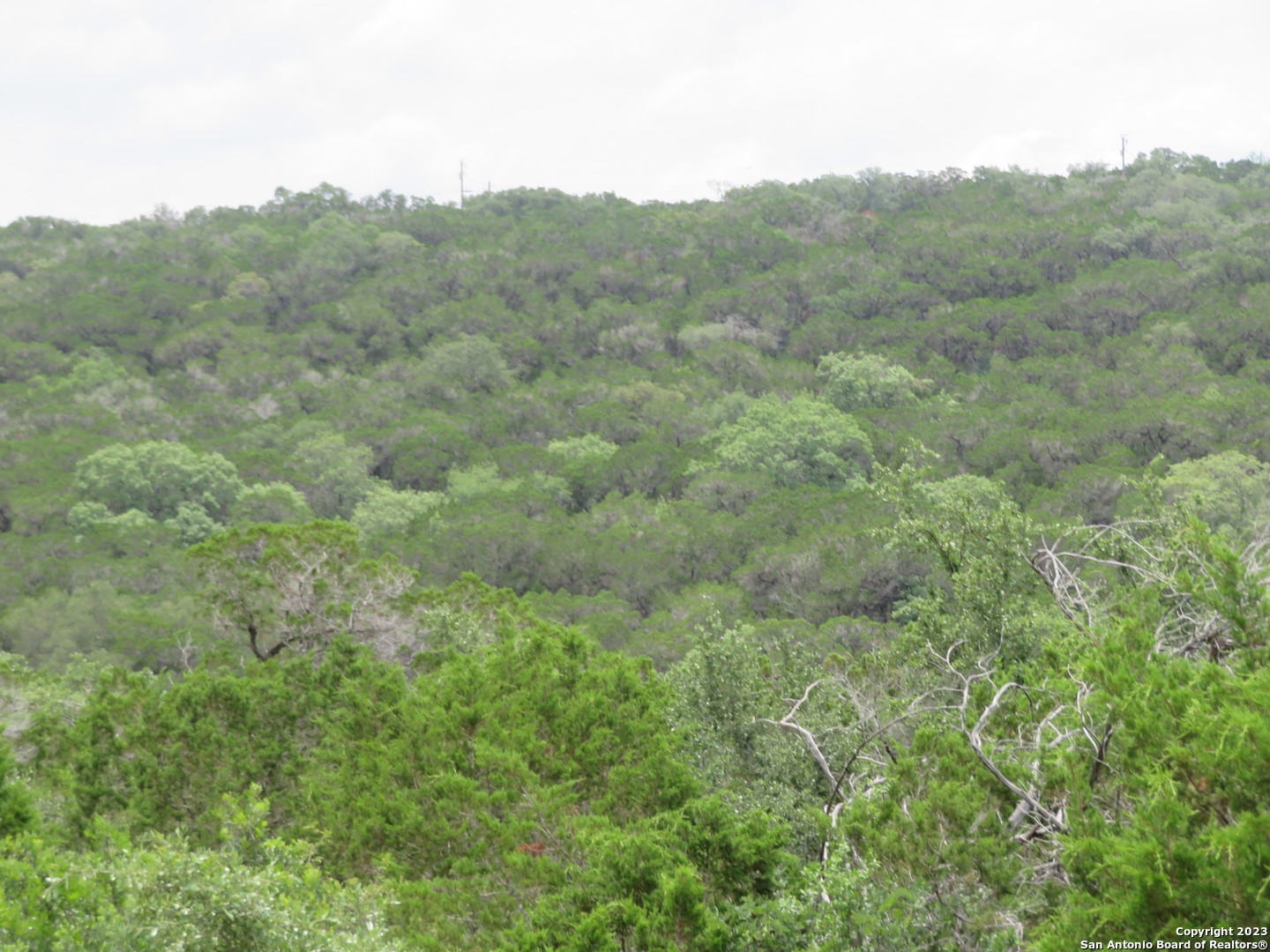0 Hilltop Loop Lakehills, TX 78063 - Photo 13 of 32 a view of a valley with a mountain in the background
