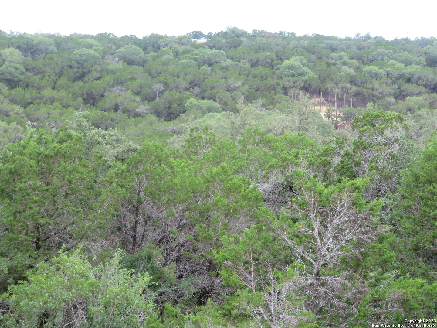 0 Hilltop Loop Lakehills, TX 78063 - Photo 30 of 32 a view of a lush green forest with trees and some houses