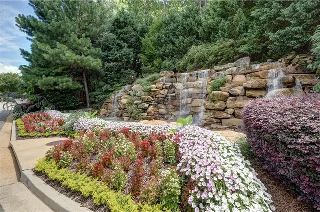 a view of a garden with flowers