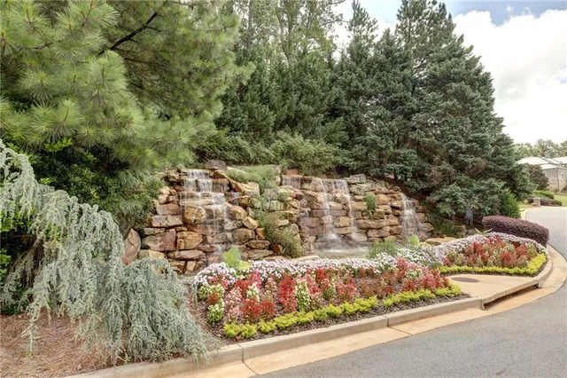 a view of a yard with potted plants