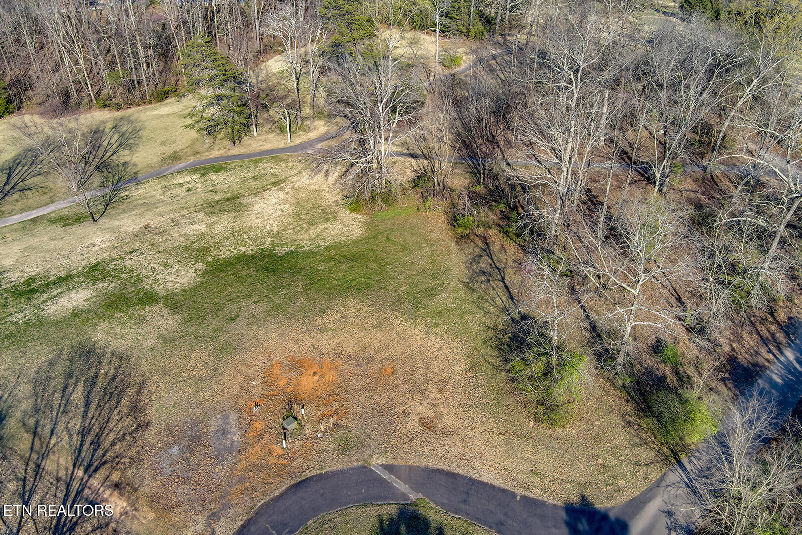 01_WillowTrace_Lot8_StreetElevated_NE