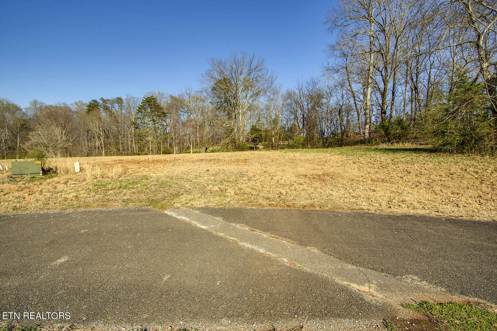 Lot 8 Willow Trace Athens, TN 37303 - Photo 2 of 17 02_WillowTrace_Lot8_Street_NE