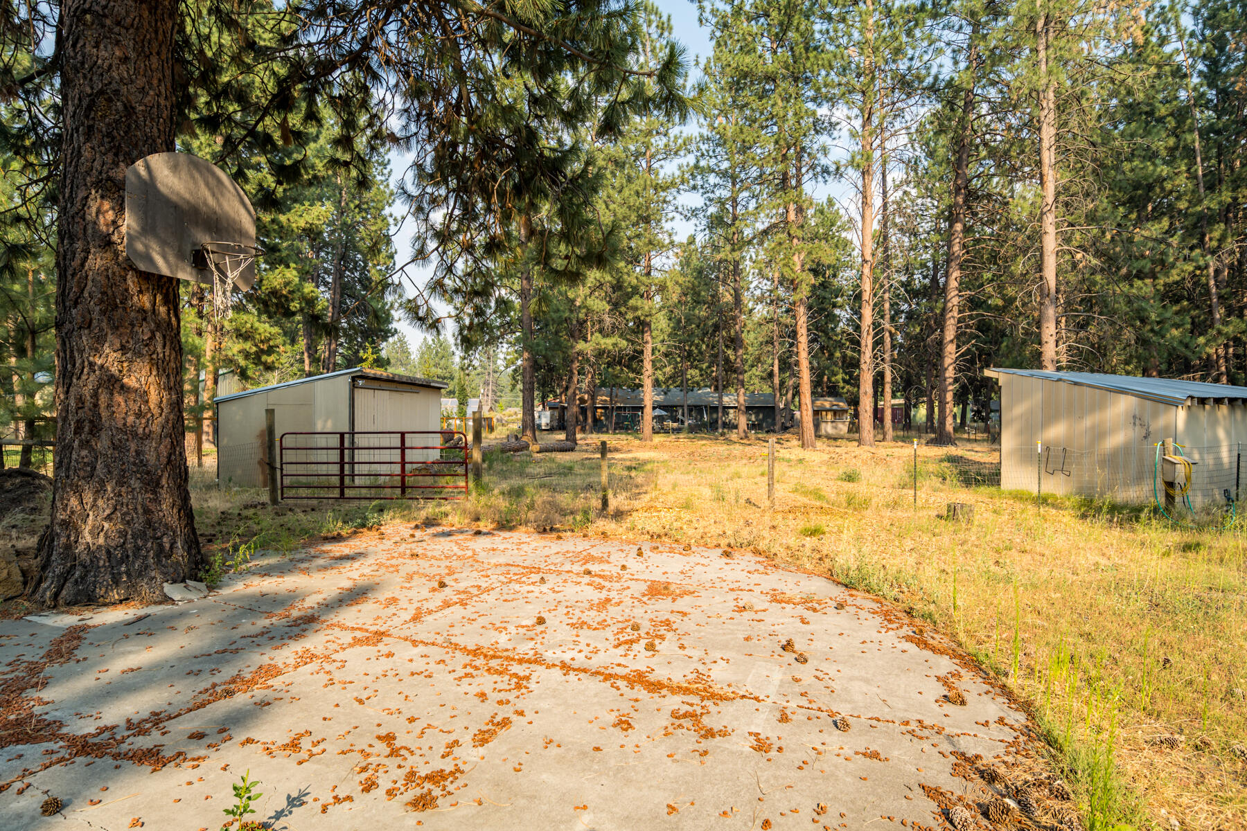 59916 Navajo Road Bend, OR 97702 - Photo 20 of 26 JH5_4330