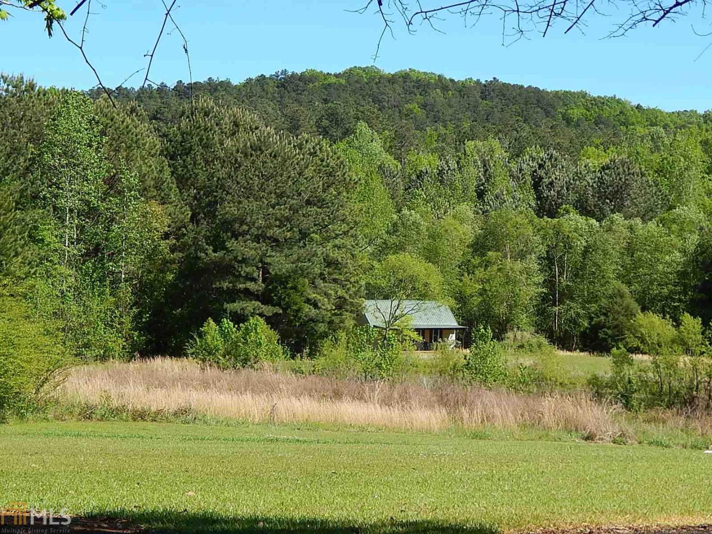 0 Chalybeate Road, Unit 16 12 Manchester, GA 31816 - Photo 1 of 1 Gallery Image 1