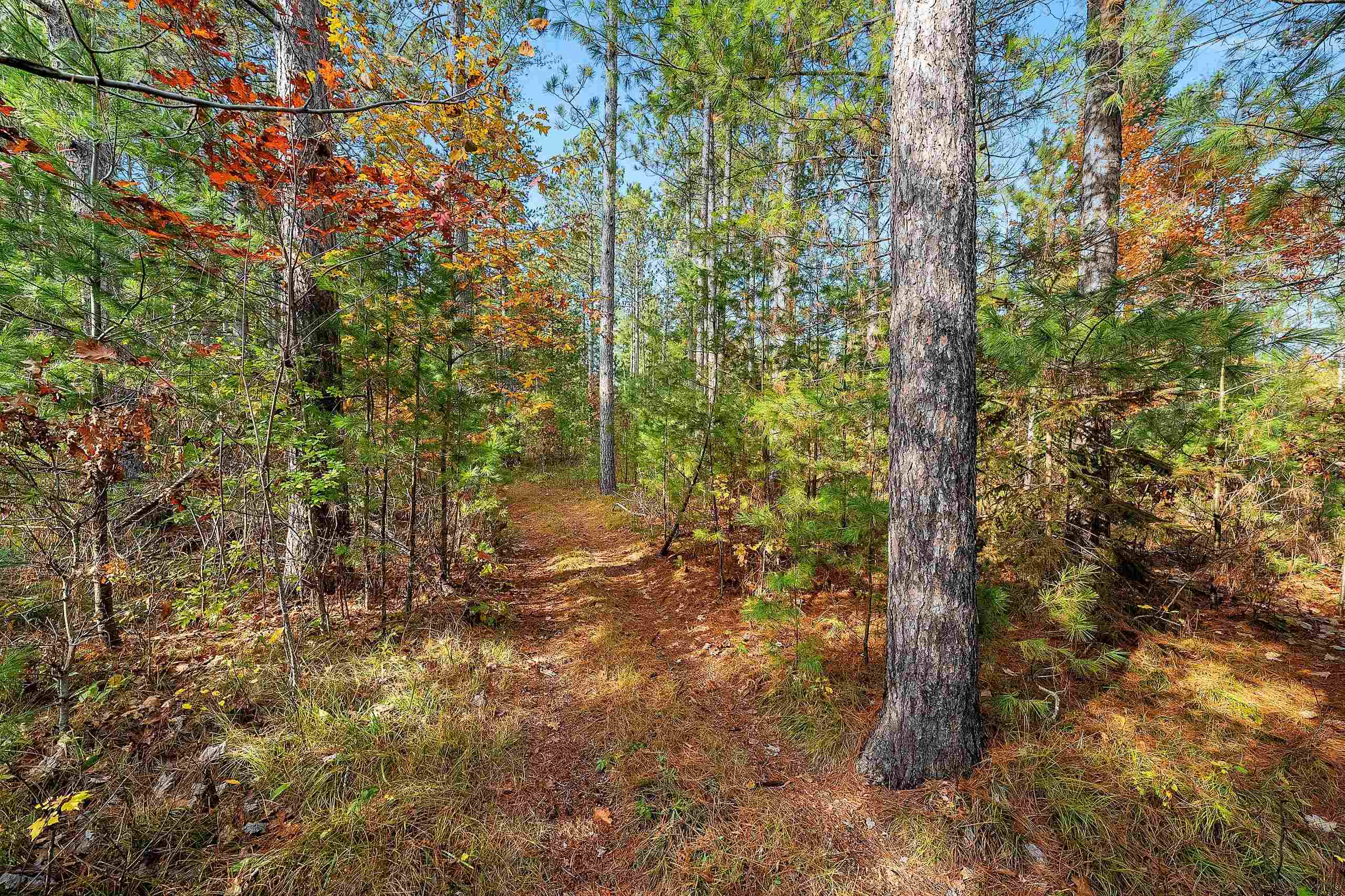 Willis Avenue Pembine, WI 54156 - Photo 21 of 22