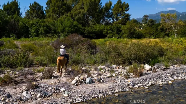 a big yard with lots of green space